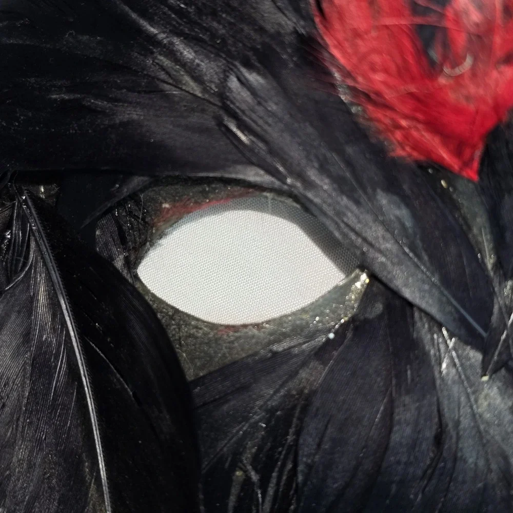 Masquerade Black & Red Feathered Mask Halloween Mardi‎ Gras Womens Costume